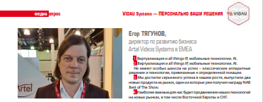 Егор Тягунов, Artel Videos Systems