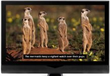 Ai-Media представляет решение для автоматических субтитров LEXI 3.0 Ai-Media представляет решение для автоматических субтитров LEXI 3.0 tkt1957.com