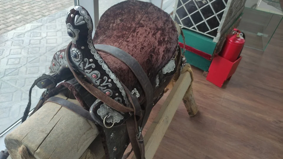 «Казахфильм» Broadcasting / Cinema / Pro AV 2024 Kazakhstan