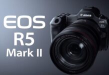 Canon: новые беззеркальные камеры Canon EOS R1 и Canon EOS R5 Mark II