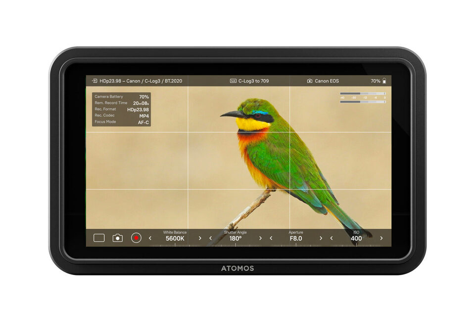Atomos Shinobi II: Новая версия монитора с улучшенной яркостью и управлением камерой