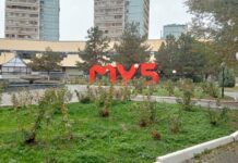 Broadcasting / Cinema 2024 на телеканале MY5: Репортаж с конференции в Узбекистане MY5