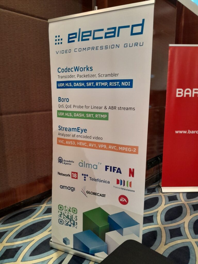 Elecard, Elecard Boro, Анастасия Шкабара Anastasia Shkabara