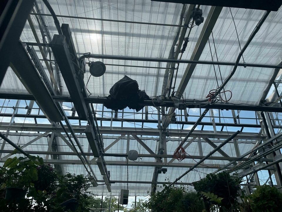 Simple Thought Productions recently produced a live corpse flower bloom stream on YouTube for Rollins College in Florida using a camera and an AJA HELO H.264 streaming and recording device.