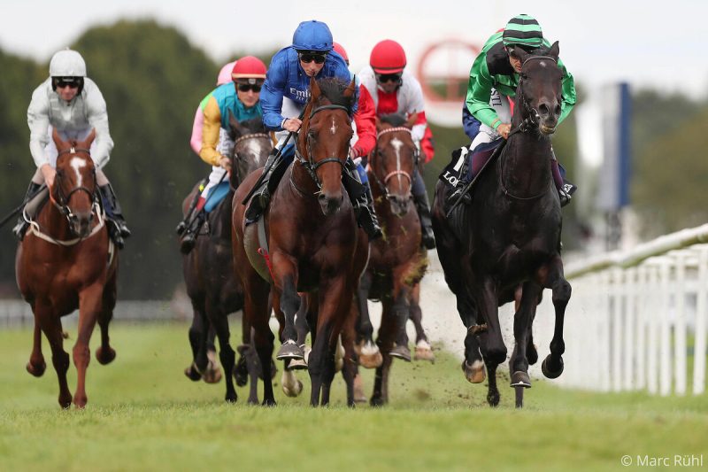 Riedel Partners With German Racing and German Tote to Develop Pioneering Program Formats