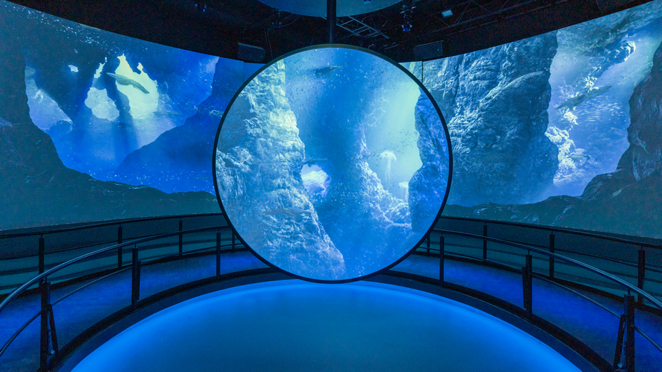 KLT and ENCIRCLED: Chicago Overpass with IOSONO Sound System